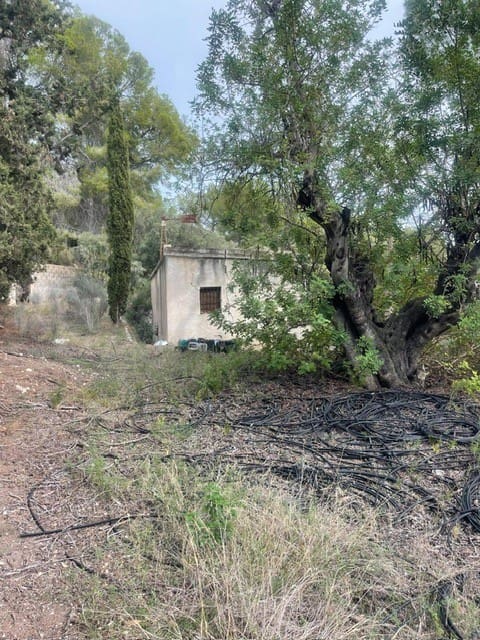 Terrain à Bâtir à vendre à Alfaz del Pi / L'Alfas del Pi - 290 000 € (Ref: 9361017)
