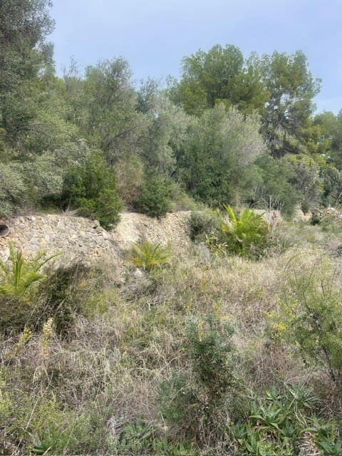 Terrain à Bâtir à vendre à Alfaz del Pi / L'Alfas del Pi - 290 000 € (Ref: 9361017)