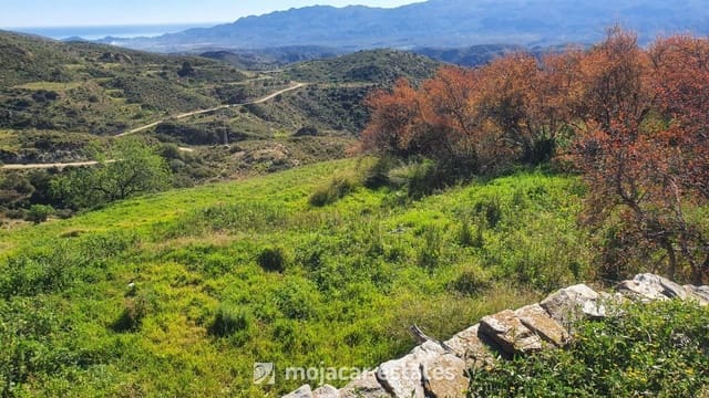 Ruin for sale in Bédar - € 75,000 (Ref: 6761207)