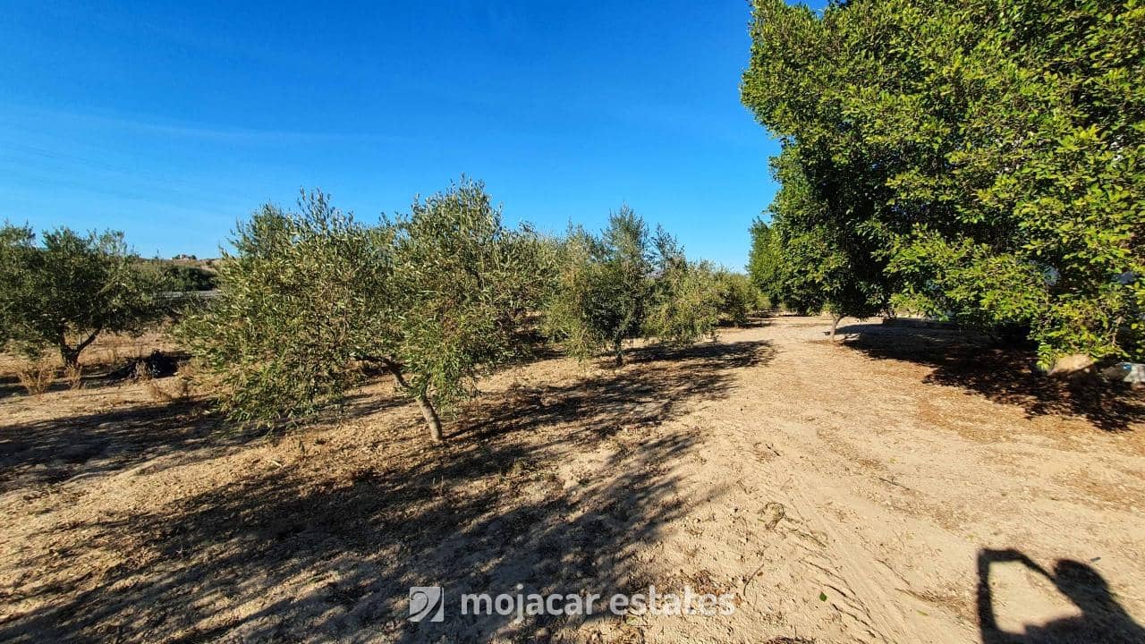 4 slaapkamer Villa te koop in Mojacar - € 320.000 (Ref: 7267026)