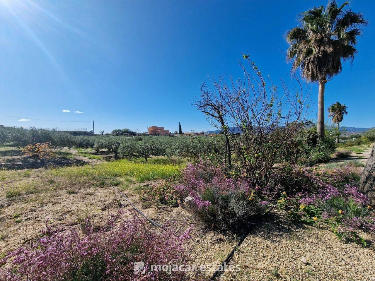 4 chambre Villa/Maison à vendre à Vera - 495 000 € (Ref: 8949977)