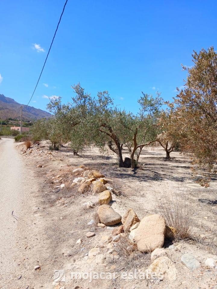 Grunde uden byggetilladelser til salg i Mojacar - € 60.000 (Ref: 9974434)