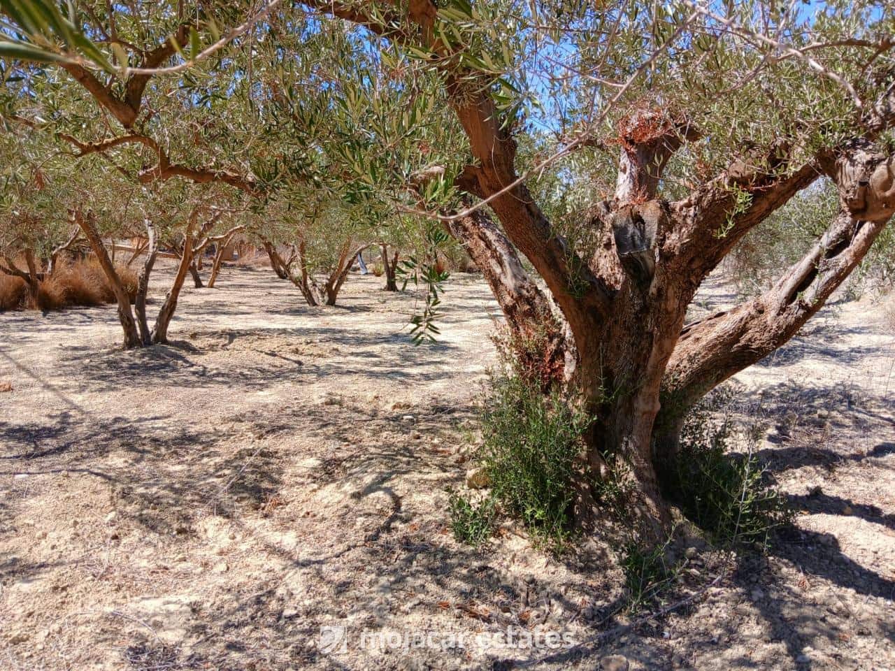 Grunde uden byggetilladelser til salg i Mojacar - € 60.000 (Ref: 9974434)