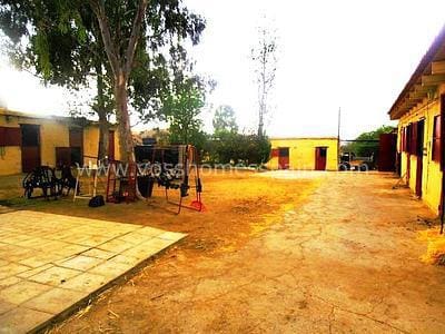 Kommersiell till salu i Huércal-Overa - 600 000 € (Ref: 5349576)