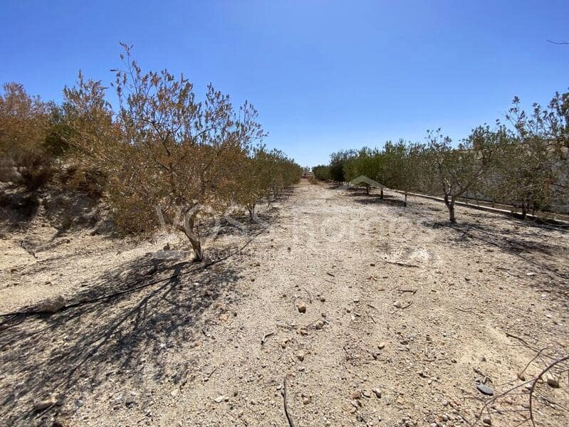 4 soverom Finca/Herregård til salgs i Huercal-Overa med svømmebasseng - € 274 950 (Ref: 8353452)