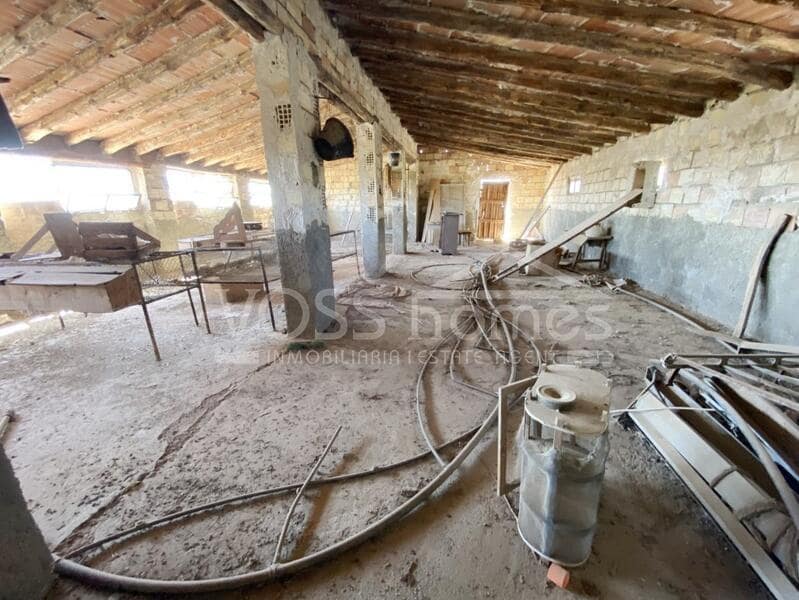 Grunde uden byggetilladelser til salg i Santa Maria de Nieva - € 49.950 (Ref: 8535531)