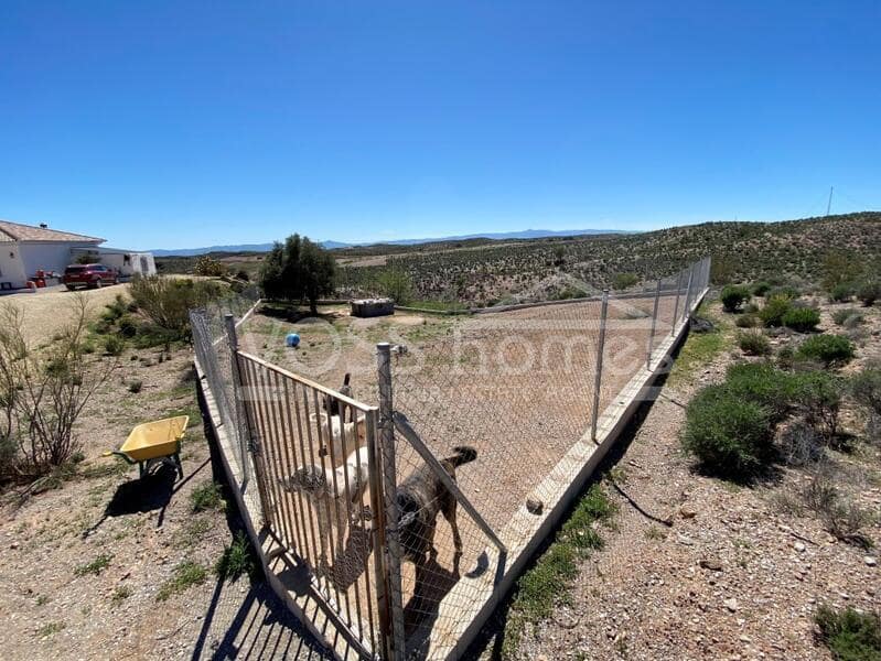 3 soveværelse Villa til salg i Taberno med swimmingpool - € 219.950 (Ref: 8907146)