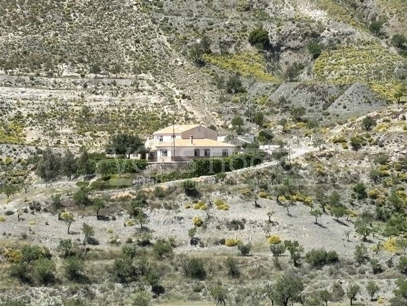 8 bedroom Finca/Country House for sale in Taberno - € 299,950 (Ref: 9085661)