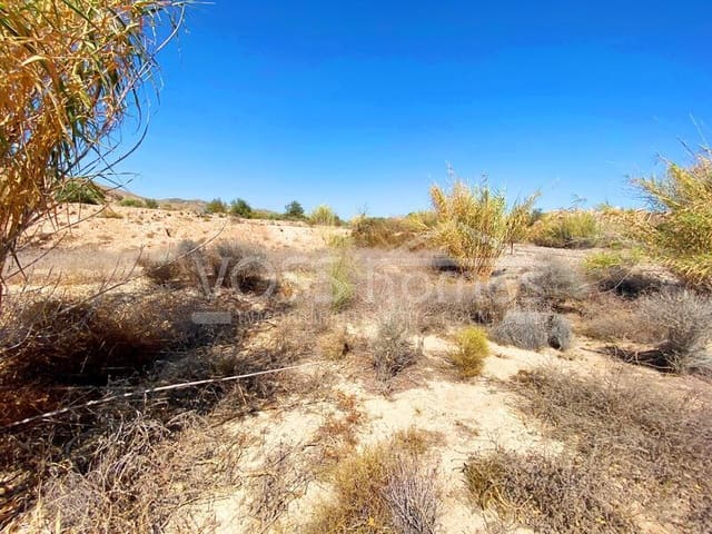 Grond te koop in Huércal-Overa - € 29.950 (Ref: 9279601)