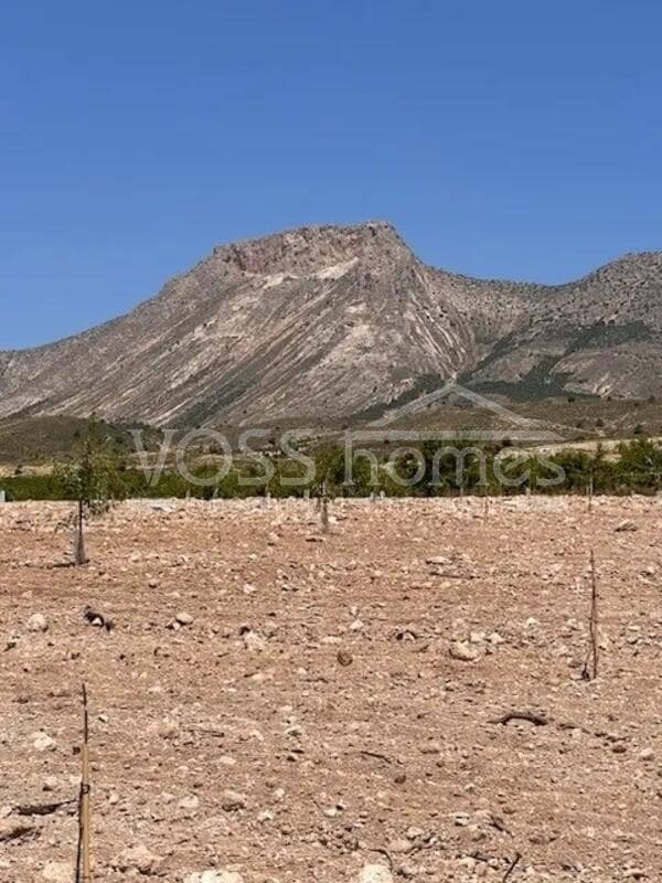 4 slaapkamer Villa te koop in Velez-Rubio met zwembad - € 399.000 (Ref: 9328528)