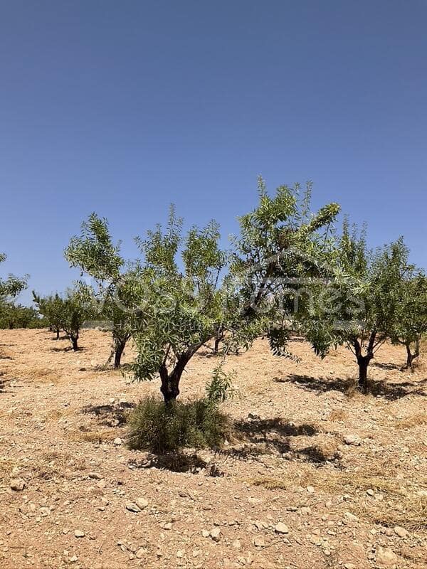 4 slaapkamer Villa te koop in Velez-Rubio met zwembad - € 399.000 (Ref: 9328528)