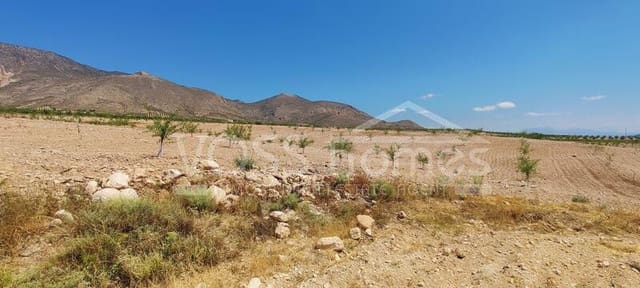 4 slaapkamer Villa te koop in Vélez-Rubio met zwembad - € 399.000 (Ref: 9328528)