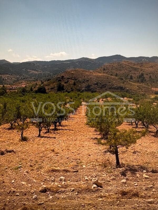 4 slaapkamer Villa te koop in Velez-Rubio met zwembad - € 399.000 (Ref: 9328528)