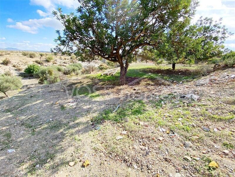 3 soveværelse Byhus til salg i Huercal-Overa - € 124.950 (Ref: 9404449)