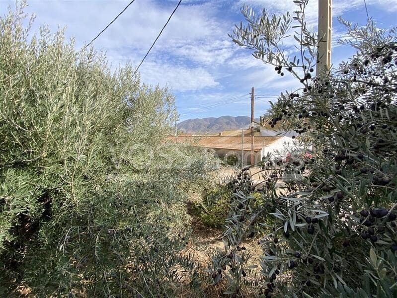 5 camera da letto Finca/Casa di Campagna in vendita in Puerto Lumbreras con piscina - 249.950 € (Rif: 9451771)