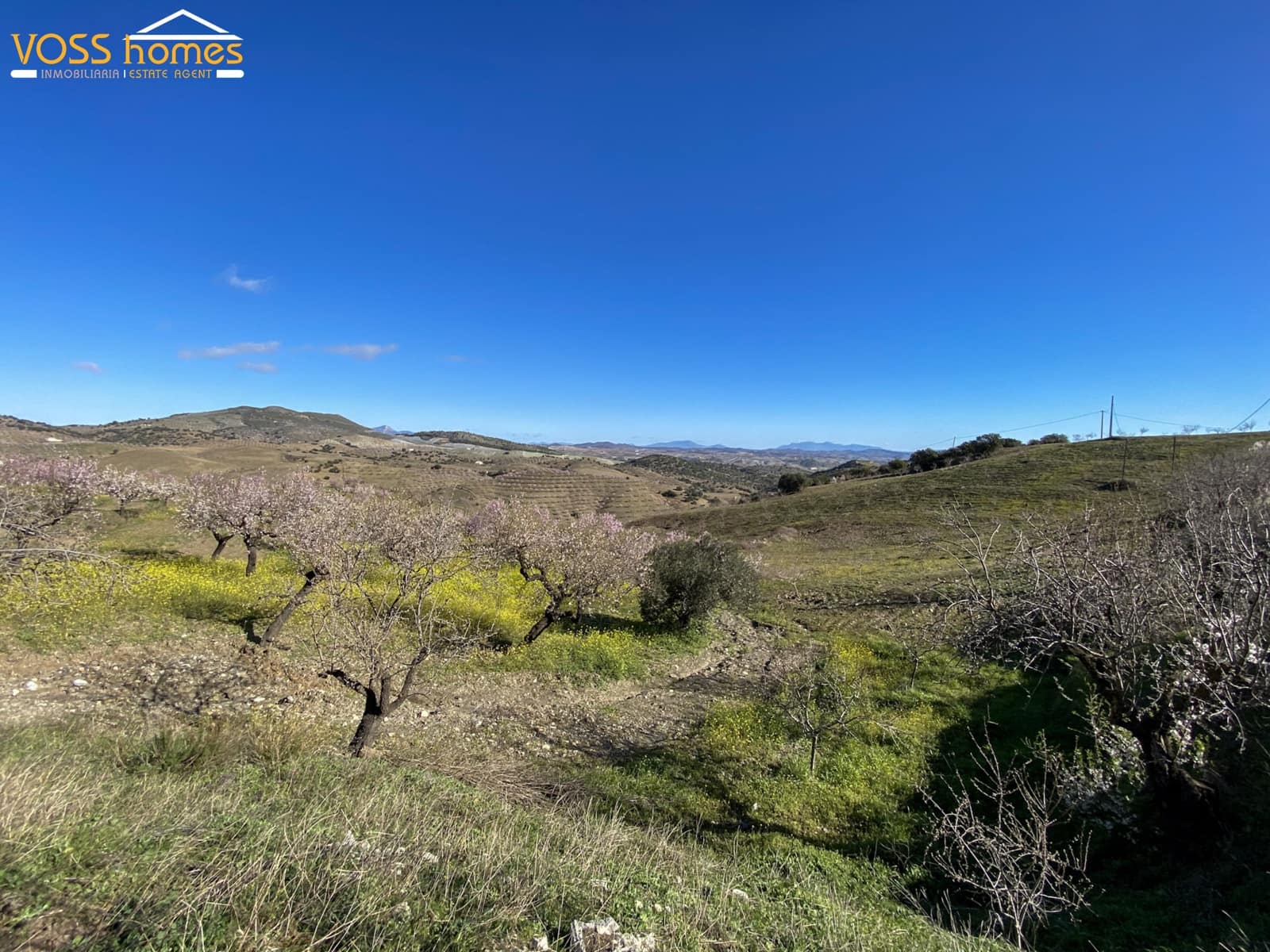 2 bedroom Apartment for rent in Velez-Rubio - € 600 (Ref: 9699971)