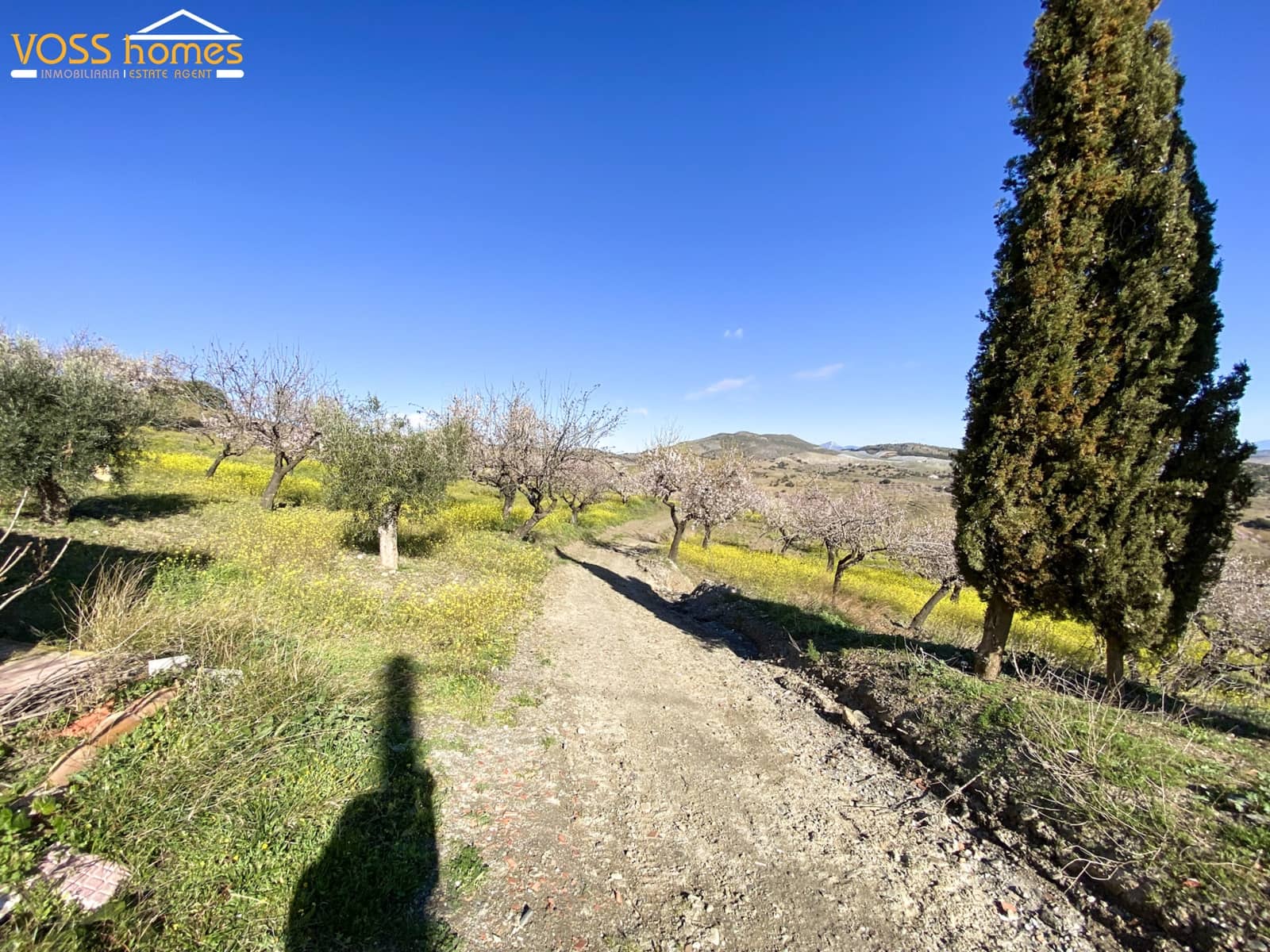 2 bedroom Apartment for rent in Velez-Rubio - € 600 (Ref: 9699971)