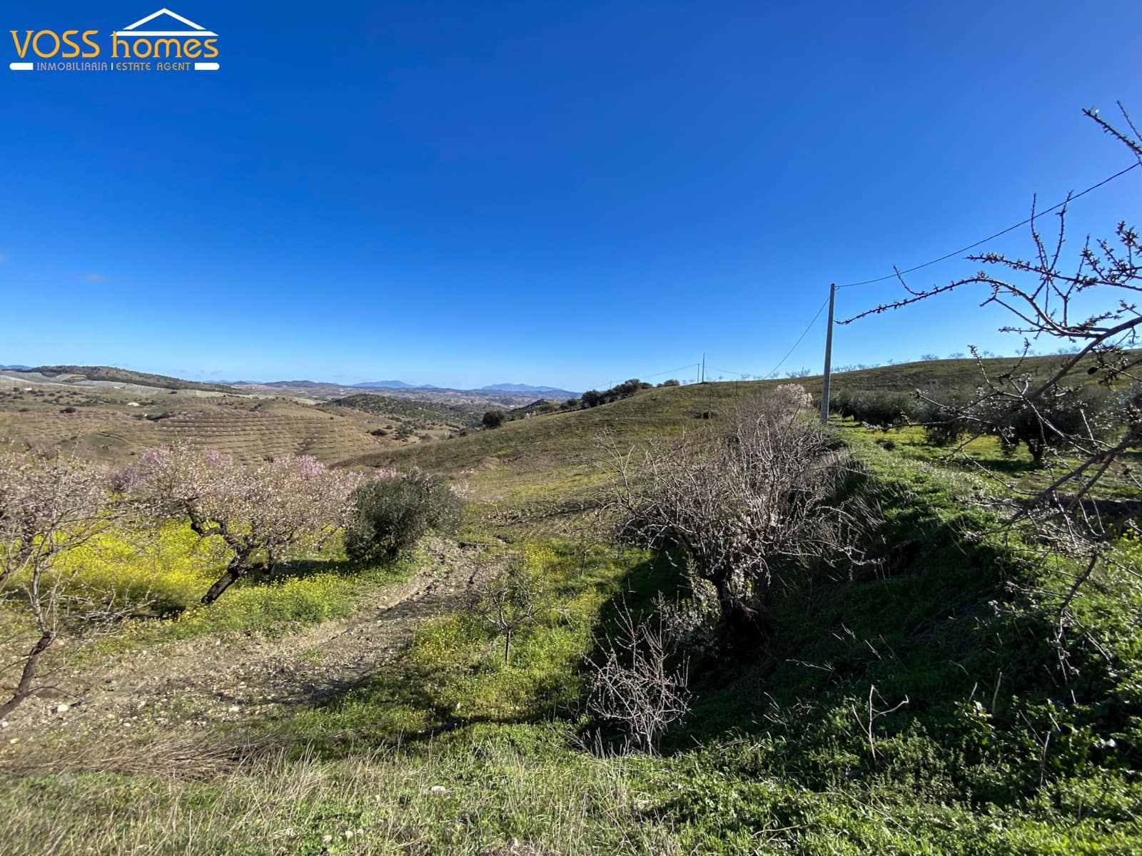 2 bedroom Apartment for rent in Velez-Rubio - € 600 (Ref: 9699971)