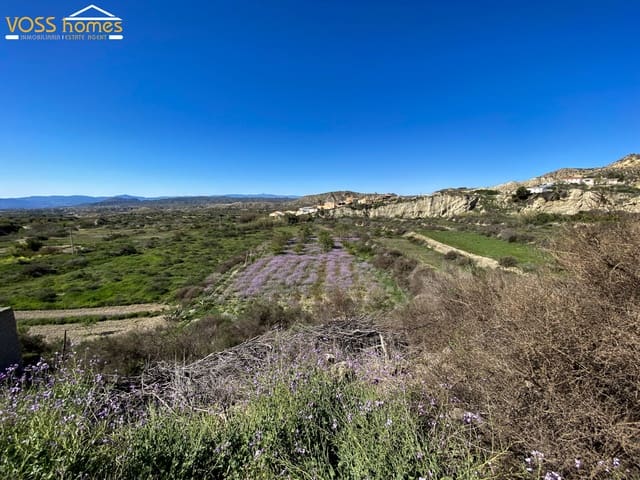 4 bedroom Finca/Country House for rent in La Hoya (Huércal-Overa), Huércal-Overa - € 700 (Ref: 9699972)