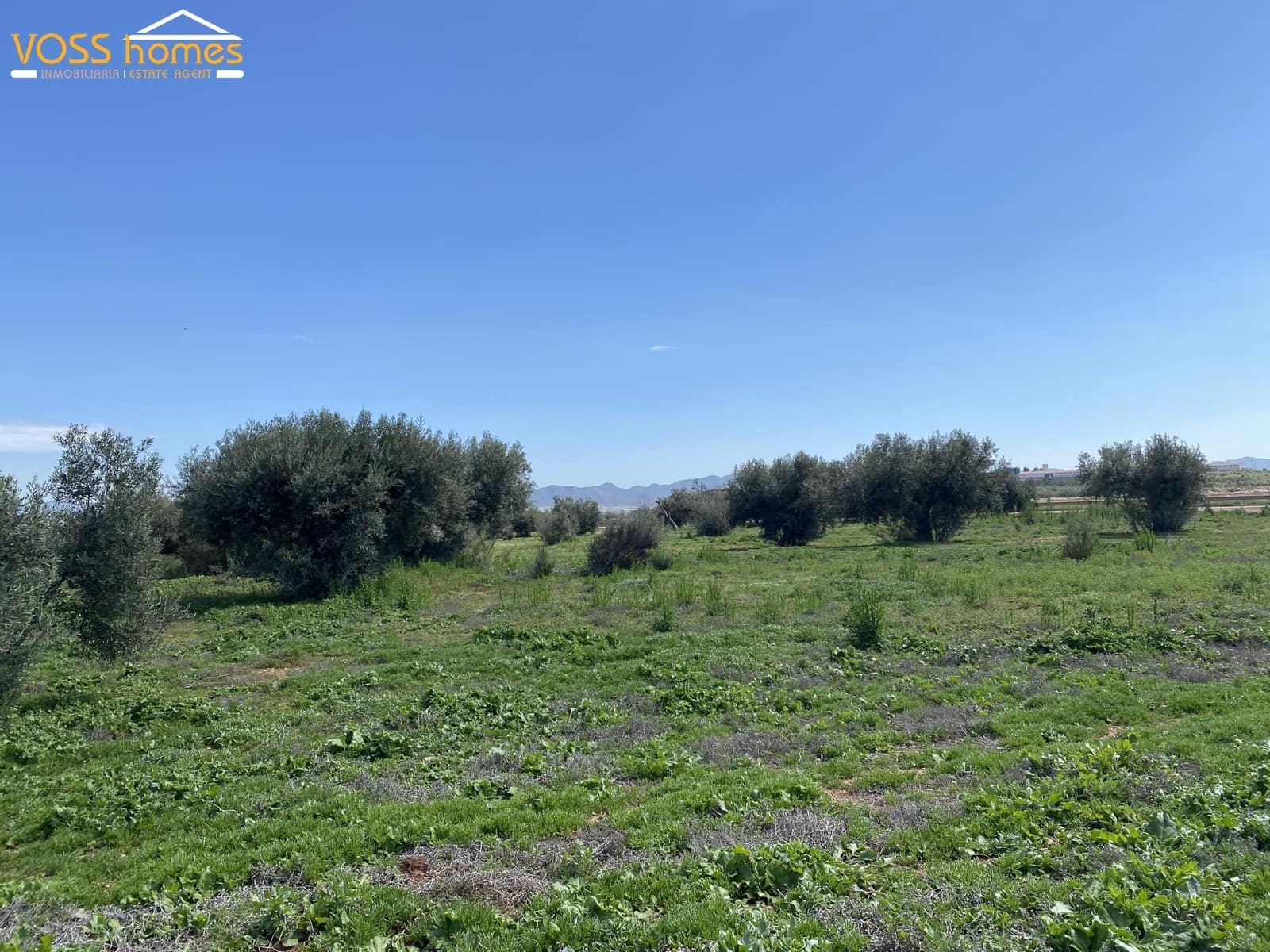 4 bedroom Finca/Country House for sale in Huercal-Overa - € 125,000 (Ref: 9720949)