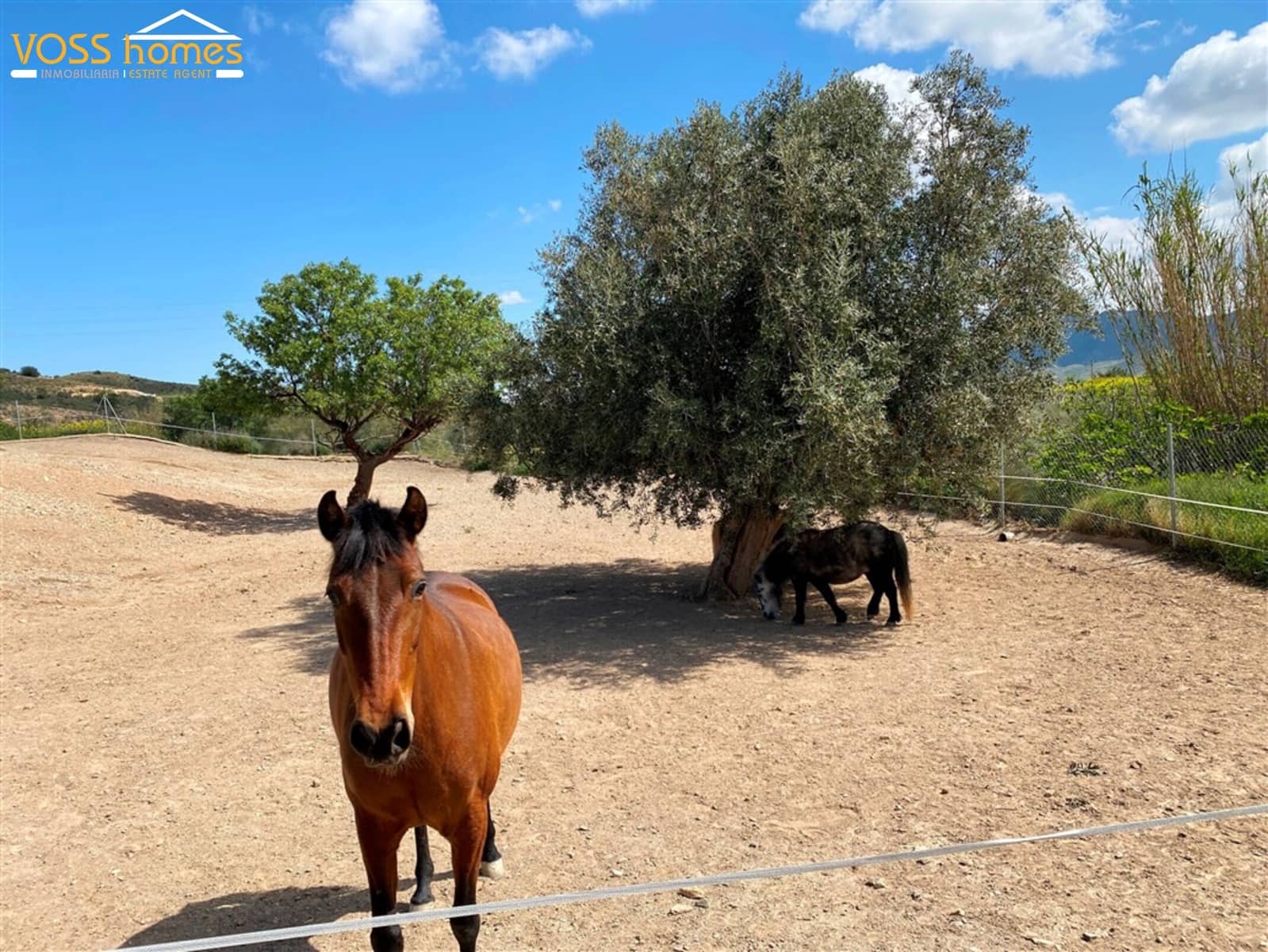 9 sovrum Finca/Hus på landet till salu i Huercal-Overa med pool - 475 000 € (Ref: 9726240)