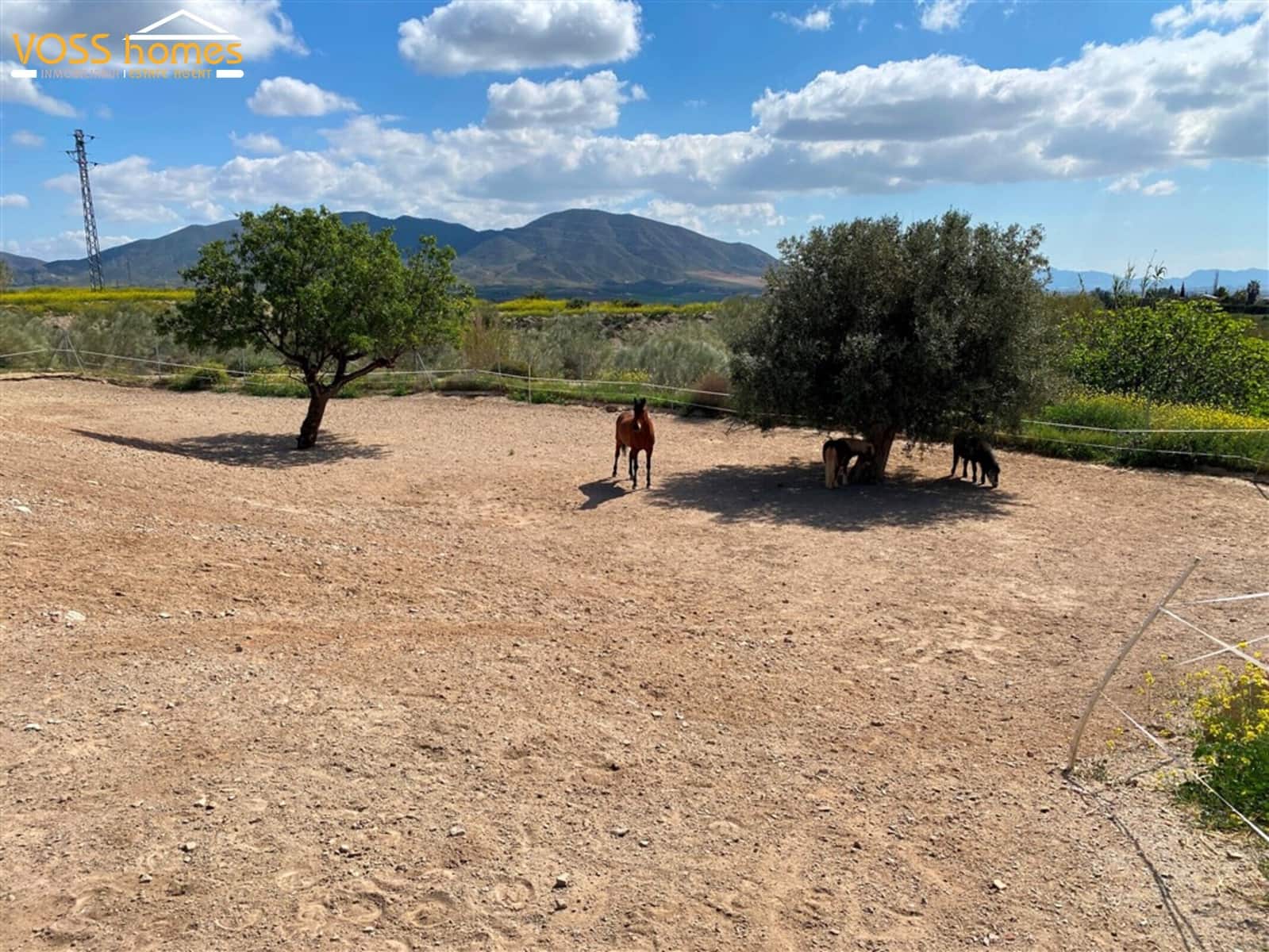 9 sovrum Finca/Hus på landet till salu i Huercal-Overa med pool - 475 000 € (Ref: 9726240)