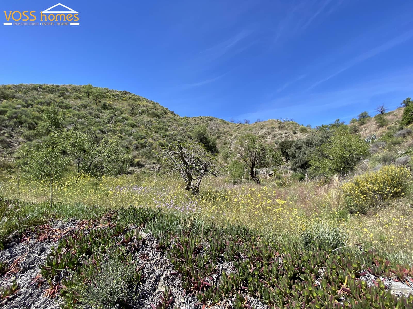 5 sypialnia Finka/Dom wiejski na sprzedaż w Huercal-Overa - 315 000 € (Ref: 9772432)