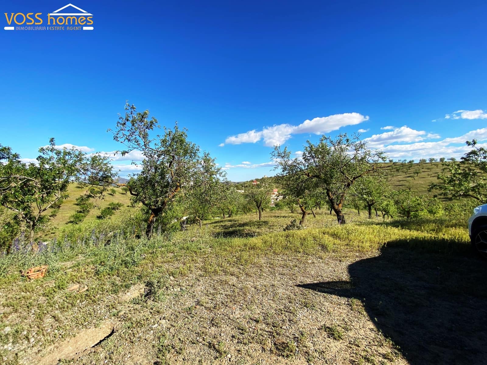 3 slaapkamer Finca/Landhuis te koop in Velez-Rubio - € 55.000 (Ref: 9797702)