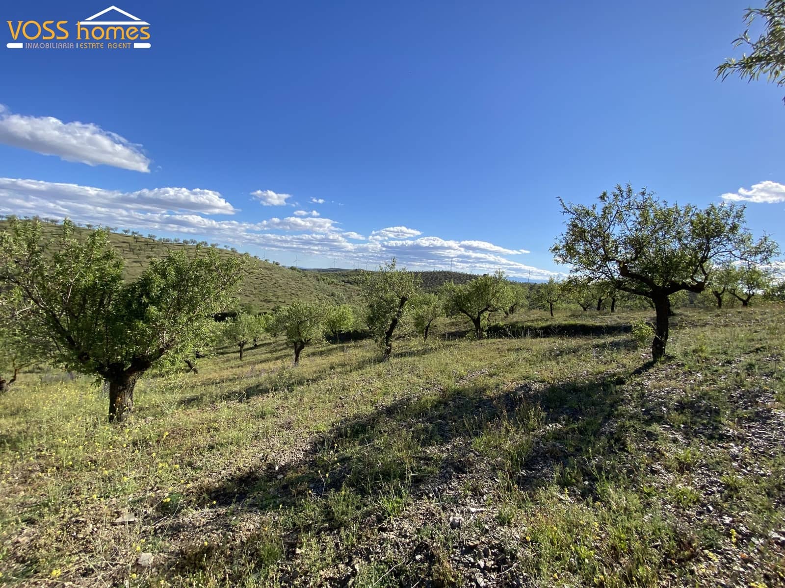 3 slaapkamer Finca/Landhuis te koop in Velez-Rubio - € 55.000 (Ref: 9797702)