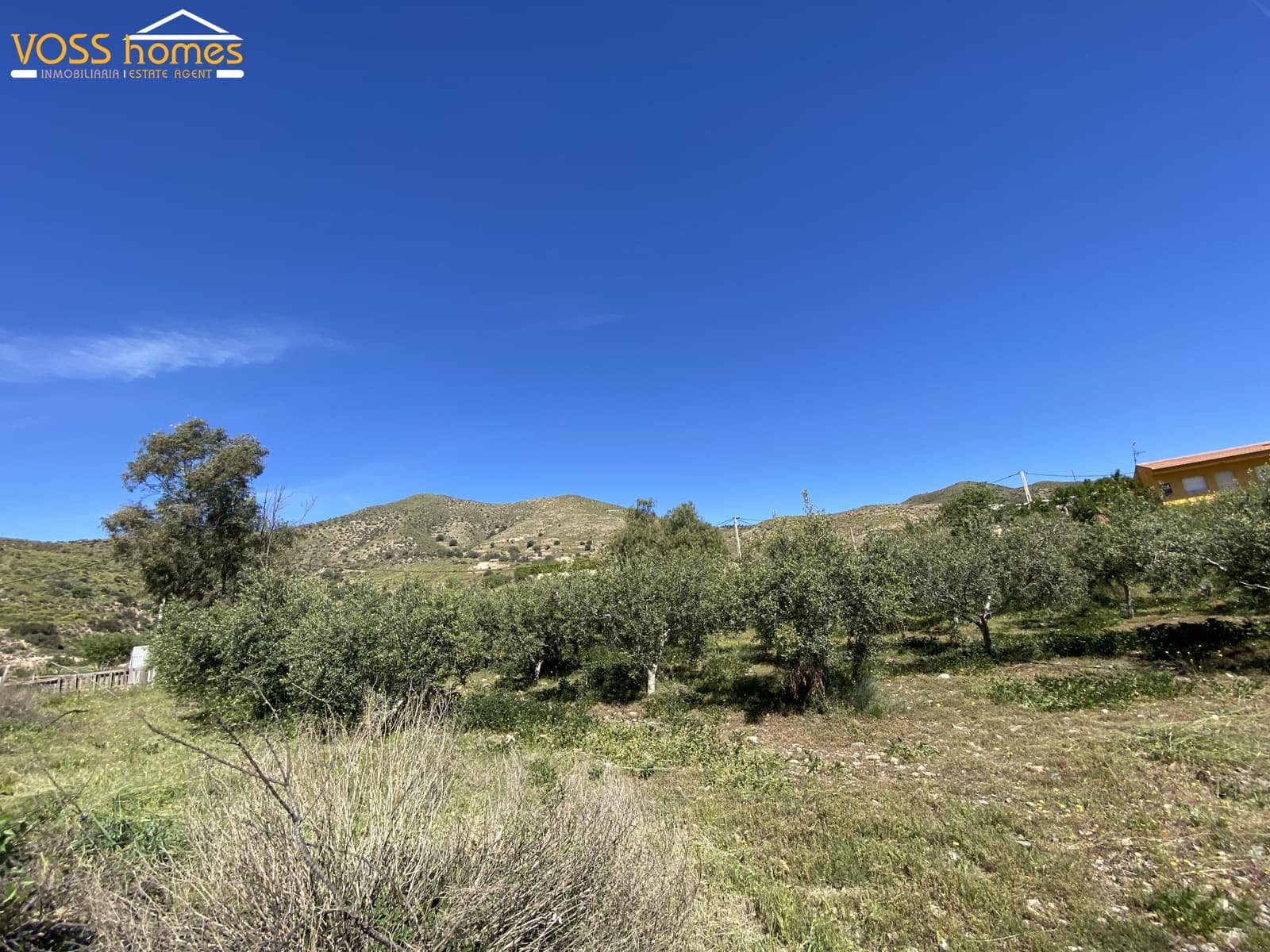 6 bedroom Finca/Country House for sale in Huercal-Overa with pool - € 280,000 (Ref: 9810882)