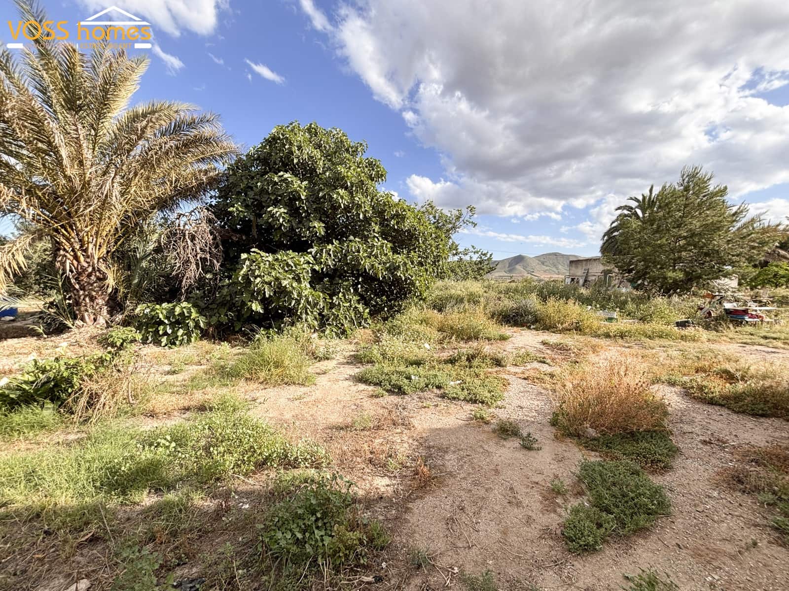 3 bedroom Finca/Country House for sale in Huercal-Overa - € 149,950 (Ref: 9821570)