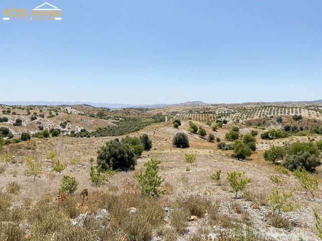 6 bedroom Finca/Country House for sale in Vélez-Rubio with pool - € 349,950 (Ref: 9919071)