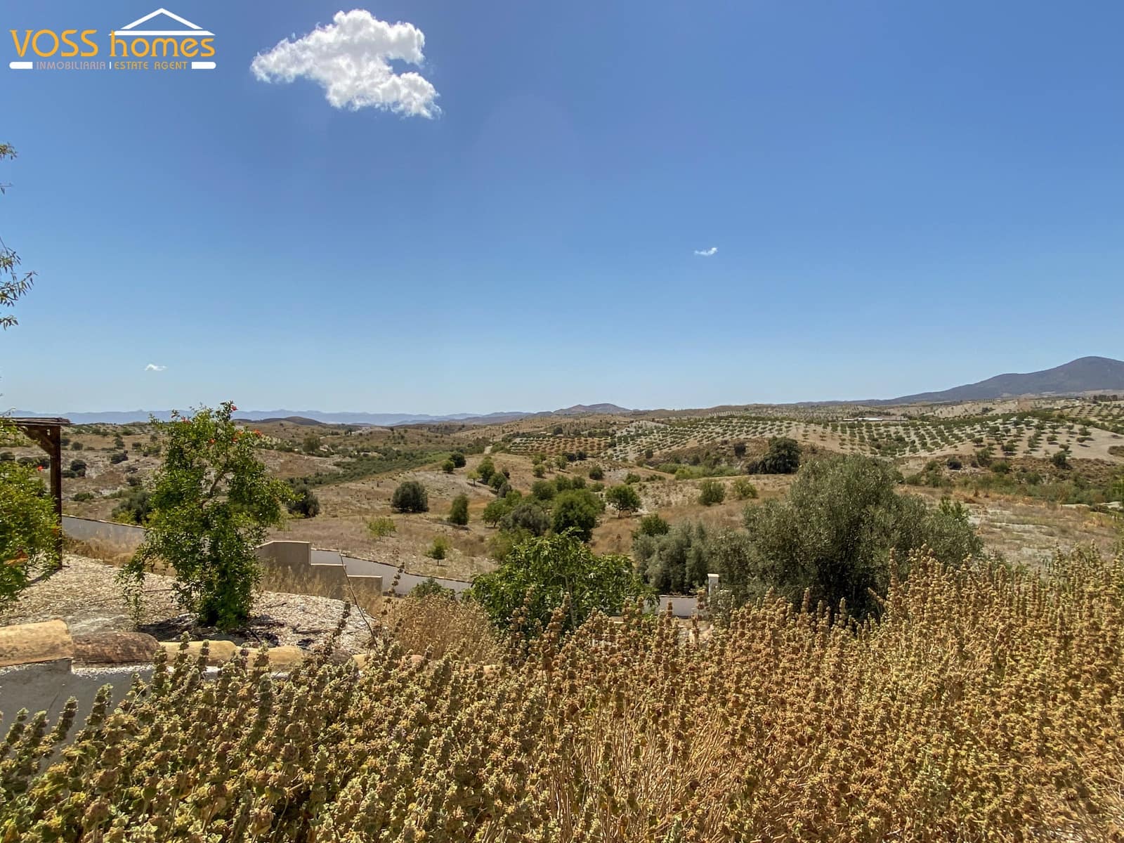 6 bedroom Finca/Country House for sale in Velez-Rubio with pool - € 349,950 (Ref: 9919071)
