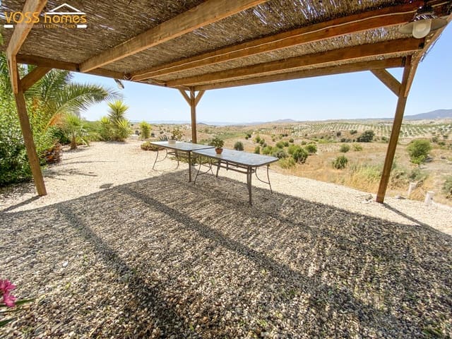 6 bedroom Finca/Country House for sale in Vélez-Rubio with pool - € 349,950 (Ref: 9919071)