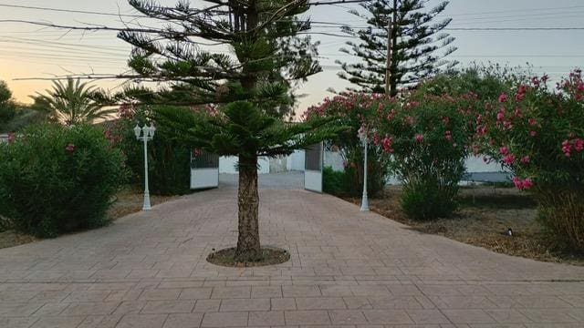 2 makuuhuone Huvila vuokrattavana paikassa Chiclana de la Frontera mukana uima-altaan - 1 000 € (Ref: 10136273)