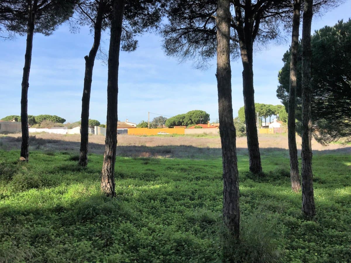 1 chambre Finca/Maison de Campagne à vendre à Chiclana de la Frontera - 350 000 € (Ref: 5644429)