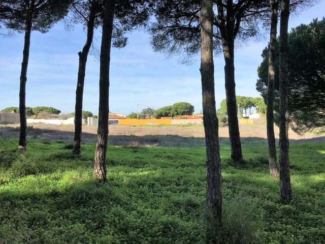 1 chambre Finca/Maison de Campagne à vendre à Chiclana de la Frontera - 350 000 € (Ref: 5644429)