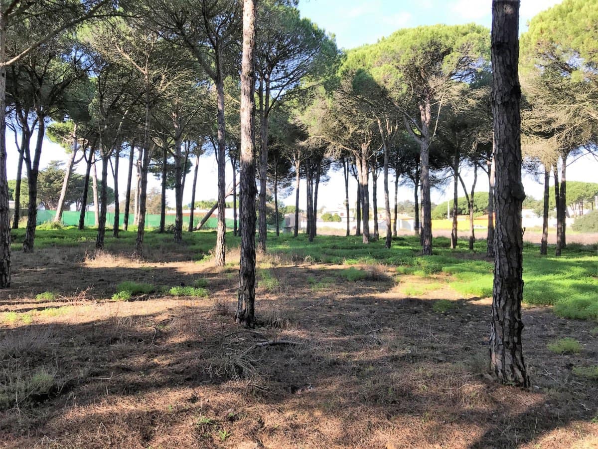 1 chambre Finca/Maison de Campagne à vendre à Chiclana de la Frontera - 350 000 € (Ref: 5644429)