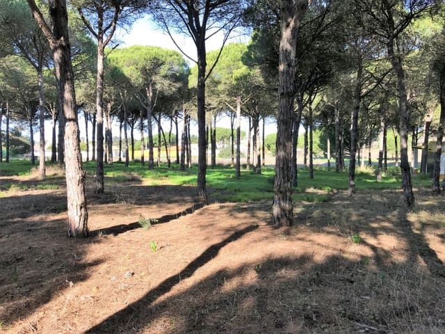 1 chambre Finca/Maison de Campagne à vendre à Chiclana de la Frontera - 350 000 € (Ref: 5644429)