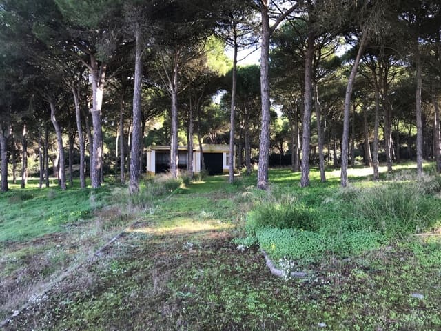 1 chambre Finca/Maison de Campagne à vendre à Chiclana de la Frontera - 350 000 € (Ref: 5644429)