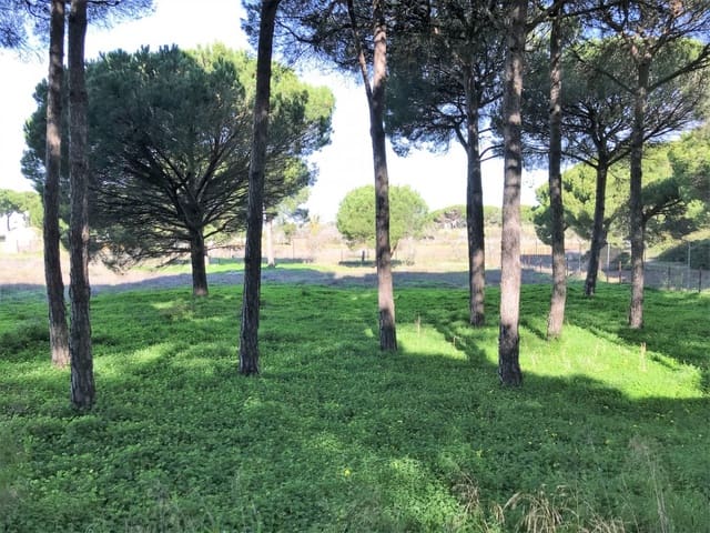 1 chambre Finca/Maison de Campagne à vendre à Chiclana de la Frontera - 350 000 € (Ref: 5644429)