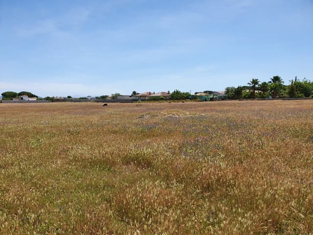 Building Plot for sale in Pago del Humo, Chiclana de la Frontera - € 350,000 (Ref: 6083124)