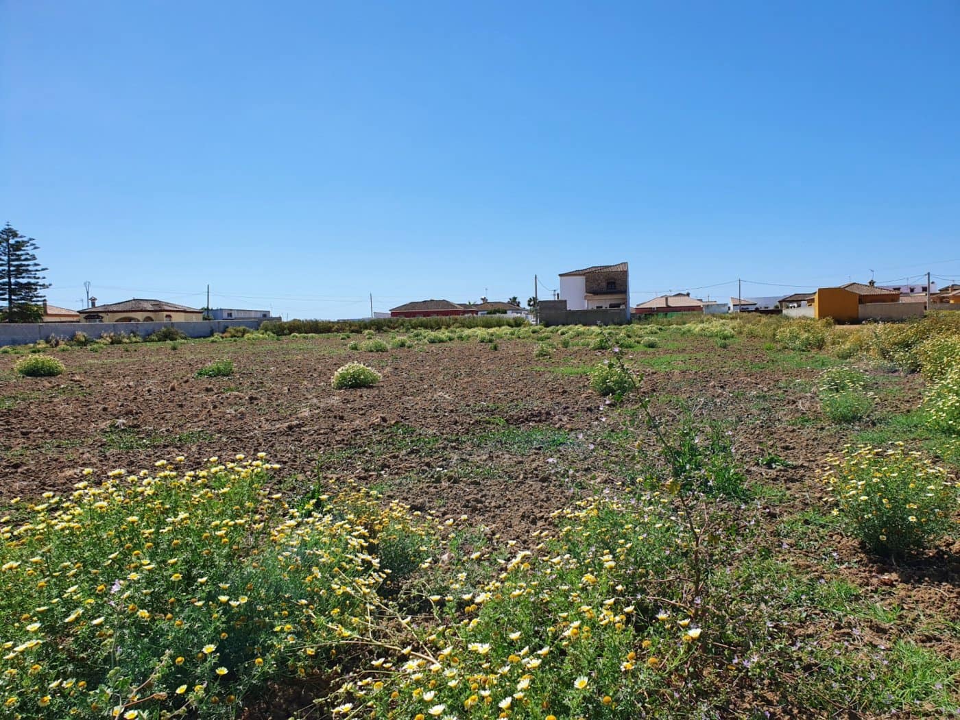 Byggegrund til salg i Chiclana de la Frontera - € 350.000 (Ref: 6089840)