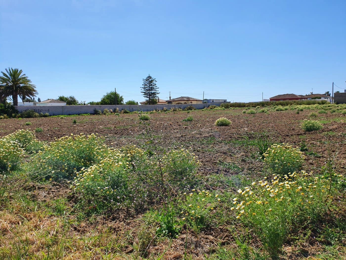 Byggegrund til salg i Chiclana de la Frontera - € 350.000 (Ref: 6089840)