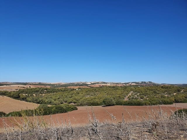 Terre non Aménagée à vendre à Chiclana de la Frontera - 155 000 € (Ref: 6445166)