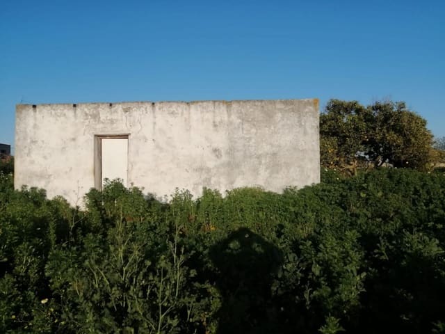 Terrain à Bâtir à vendre à Chiclana de la Frontera - 185 500 € (Ref: 6524163)
