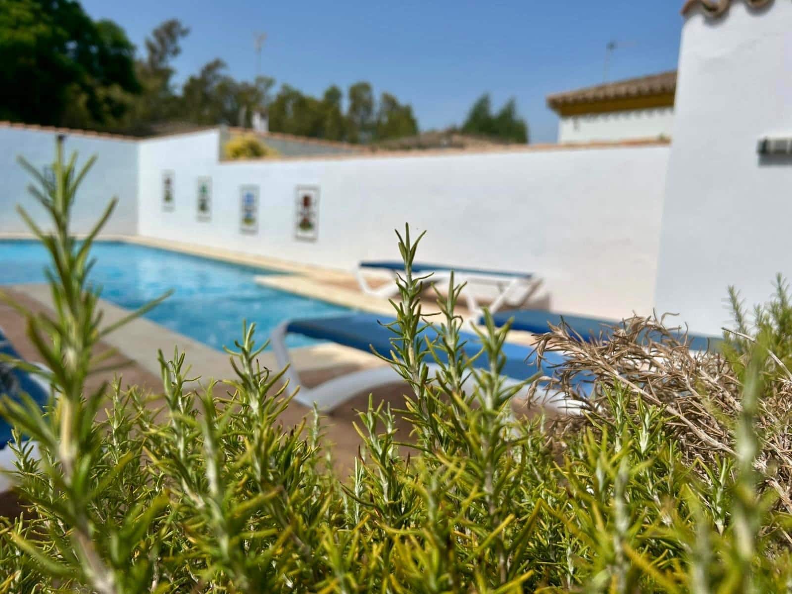 3 quarto Moradia para venda em Chiclana de la Frontera com piscina - 390 000 € (Ref: 6572280)