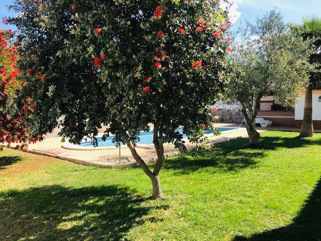 3 slaapkamer Villa voor vakantieverhuur in Chiclana de la Frontera met zwembad - € 1.700 (Ref: 6694186)