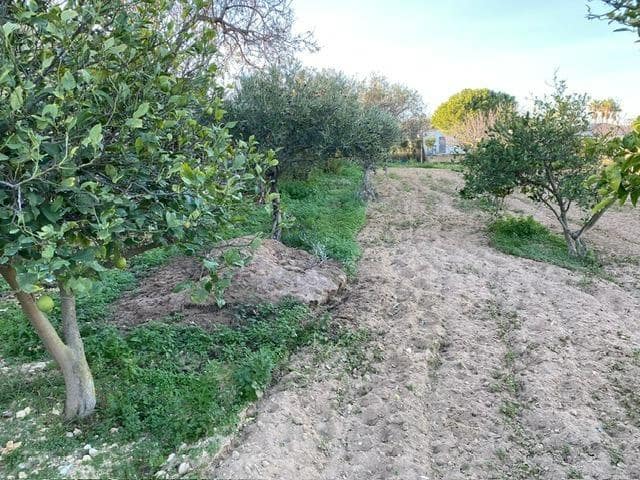 3 chambre Villa/Maison à vendre à Chiclana de la Frontera avec piscine - 240 000 € (Ref: 7984783)