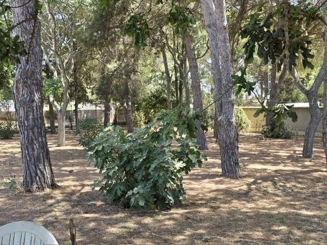 4 chambre Villa/Maison à vendre à Chiclana de la Frontera - 280 000 € (Ref: 9252264)